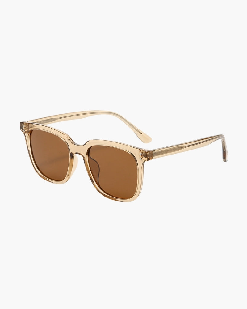 Reggio Sunglasses all colorways seven lens variants sunglasses flat lay Pianizzo